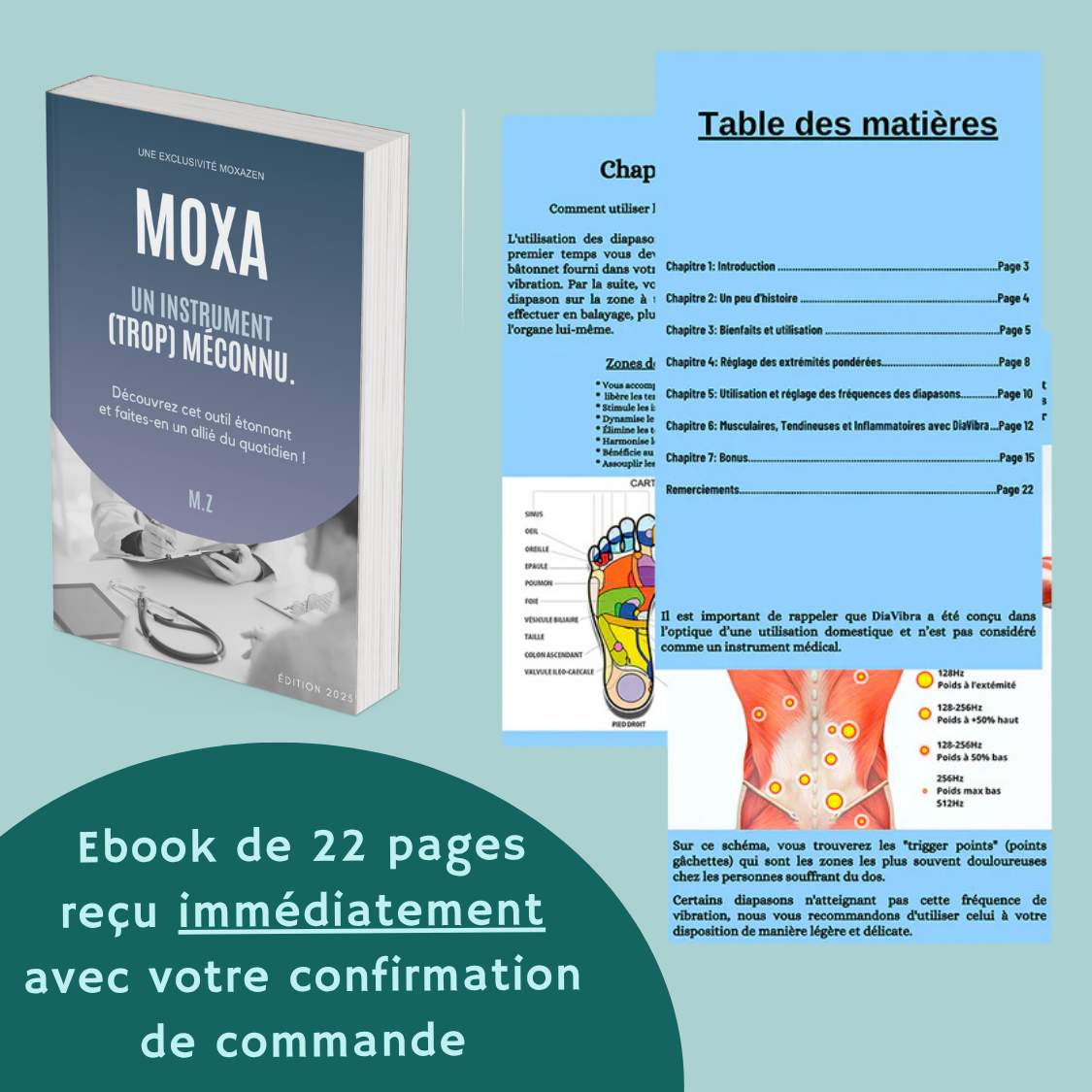 Kit de MOXA | Soin par moxibustion